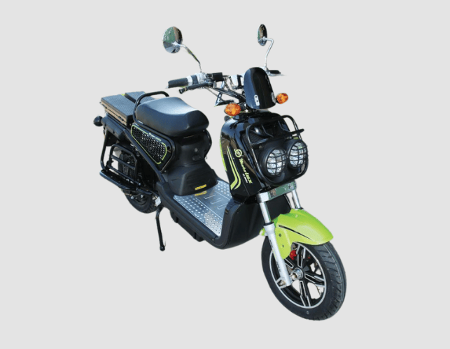 KANGOO 6000