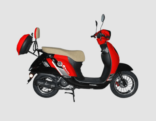 EFSANE-X (49 CC)