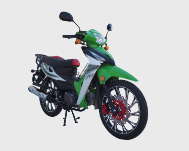 AFRİKA WOLF (49 CC)
