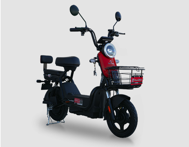 GOGO (E-BİKE)