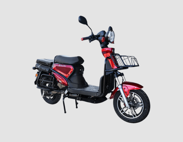 KANGOO 5000