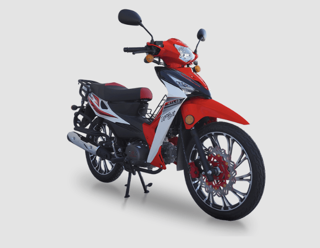 AFRİKA KING (49 CC)