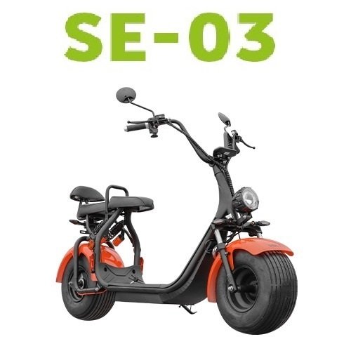 SE-03