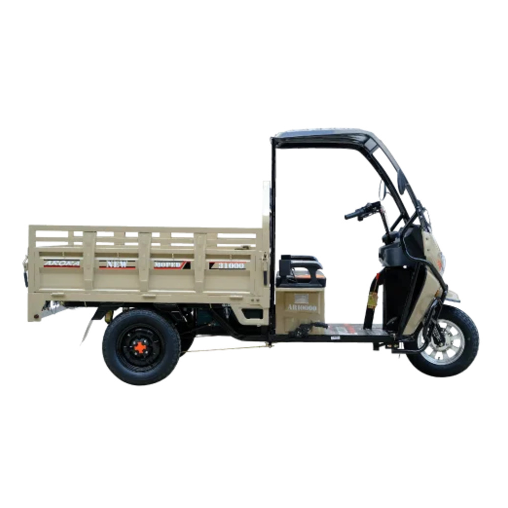 AR10000 MOPED NEW