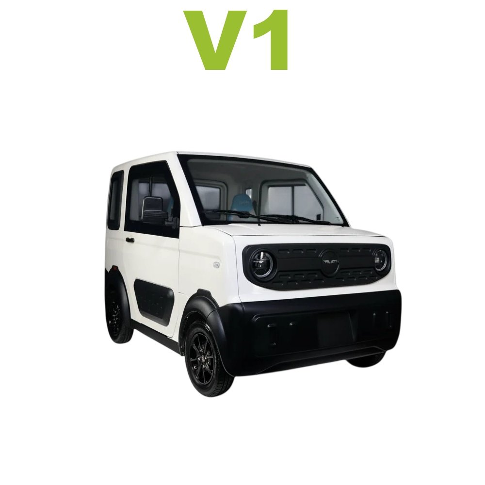 V1