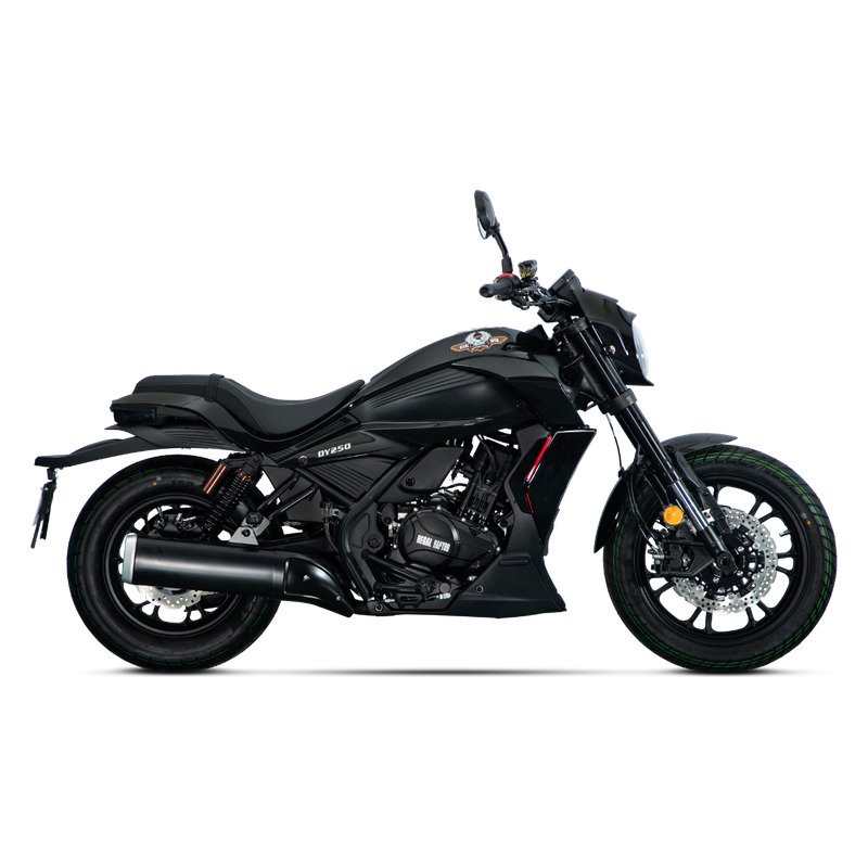DY 250