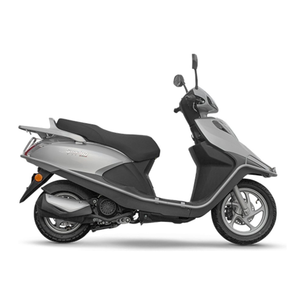 GUPPI110